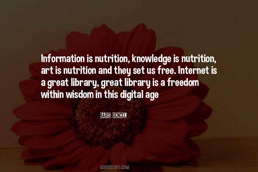 Quotes About Information Age #446704