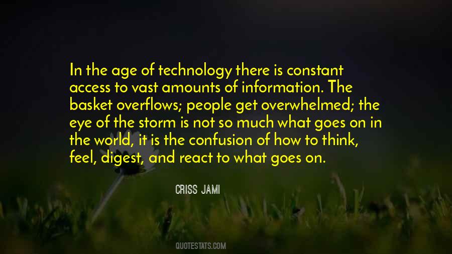 Quotes About Information Age #852917