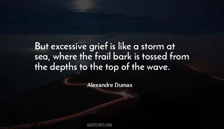 Quotes About A Storm #1063149