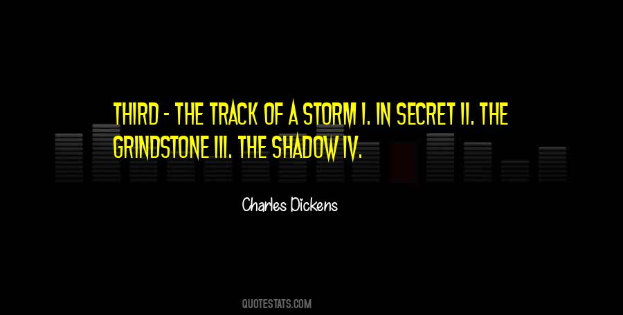 Quotes About A Storm #1162150