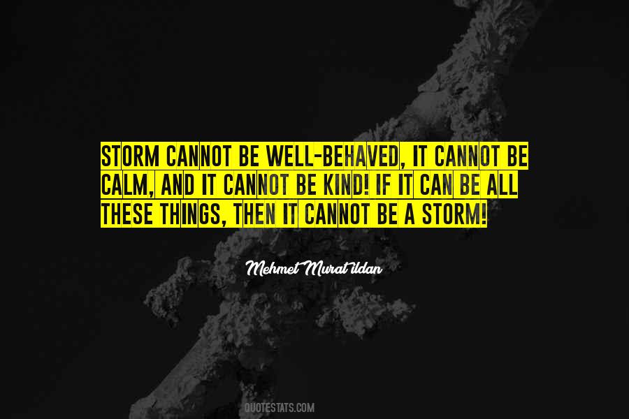 Quotes About A Storm #1336200
