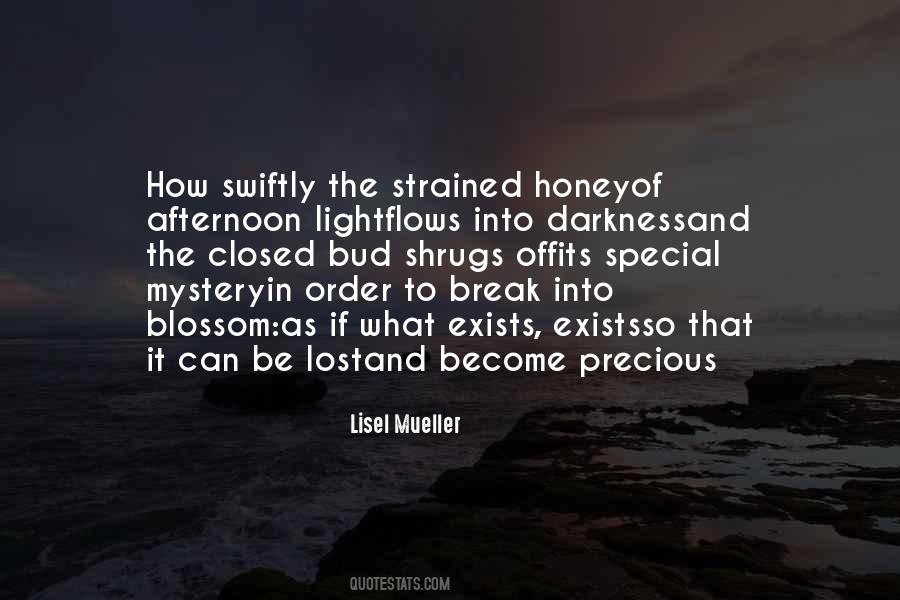 Lost In The Darkness Quotes #1428386