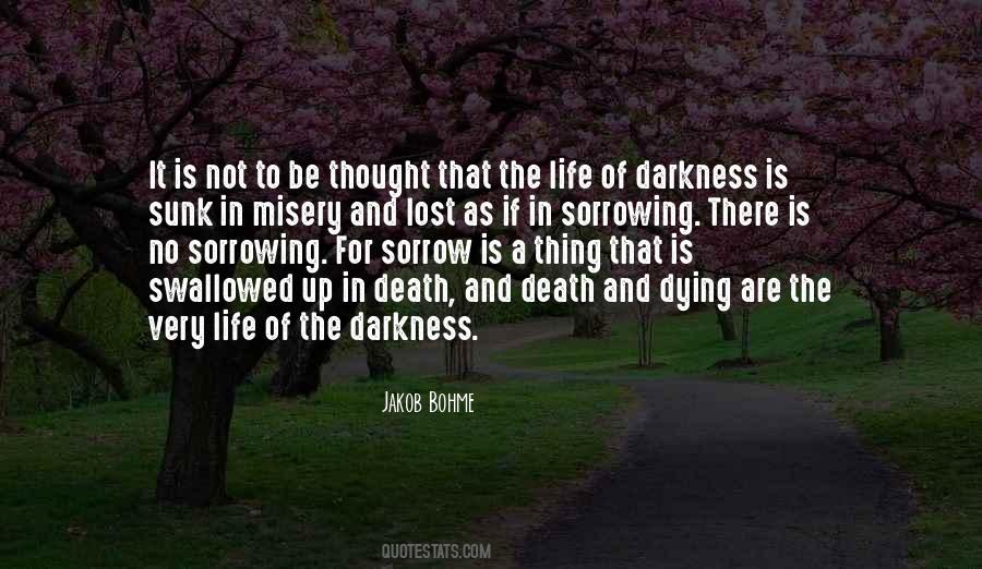 Lost In The Darkness Quotes #1446844