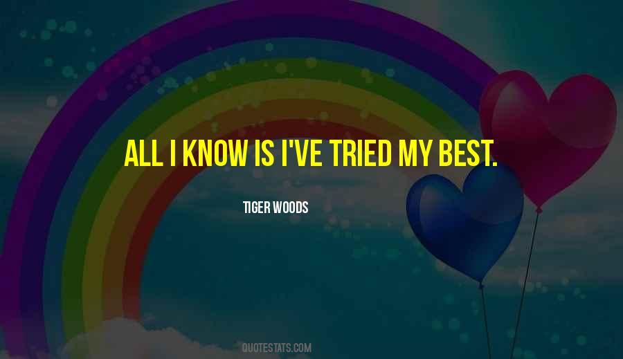 Quotes About I Tried My Best #974350