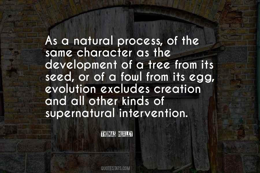 Quotes About Evolution And Creation #1644557