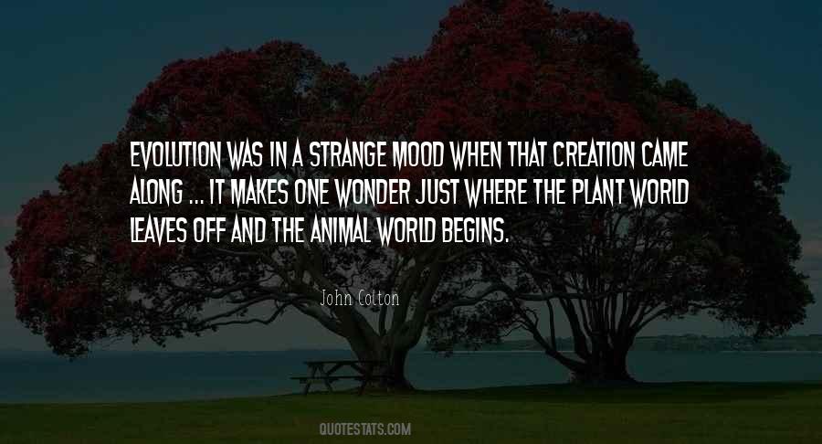 Quotes About Evolution And Creation #436913