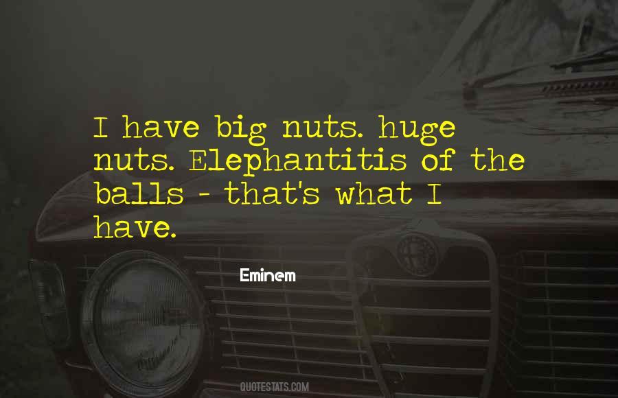 Big Nuts Quotes #1689246