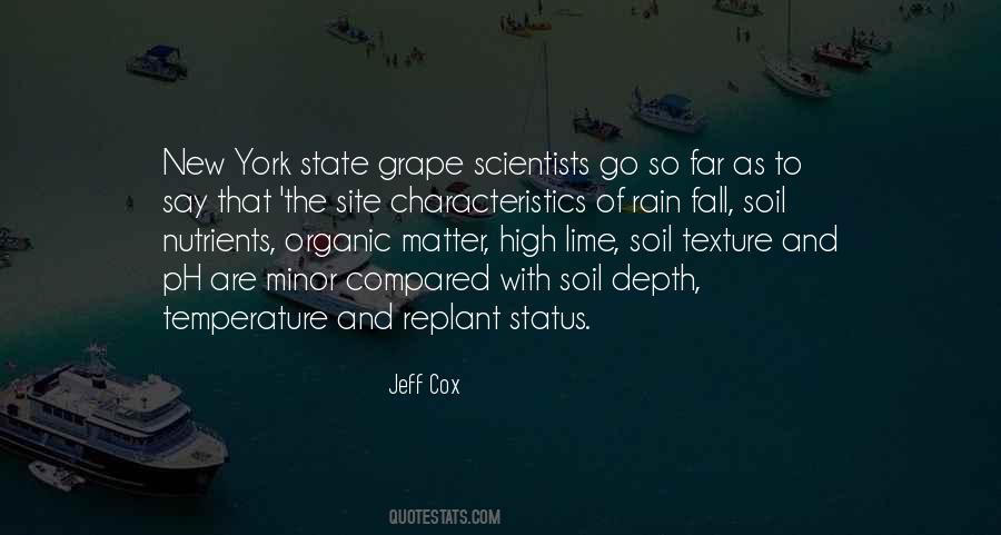 Quotes About New York In The Rain #1095641