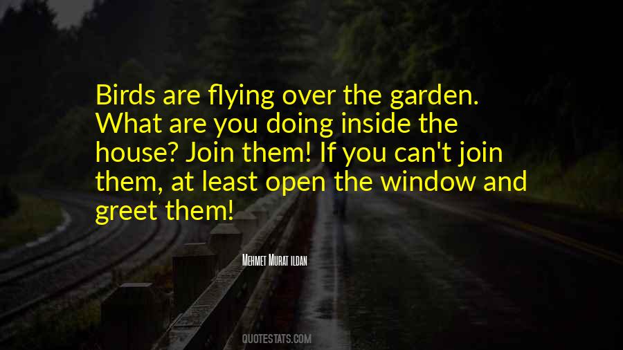 Quotes About Birds Flying #158507