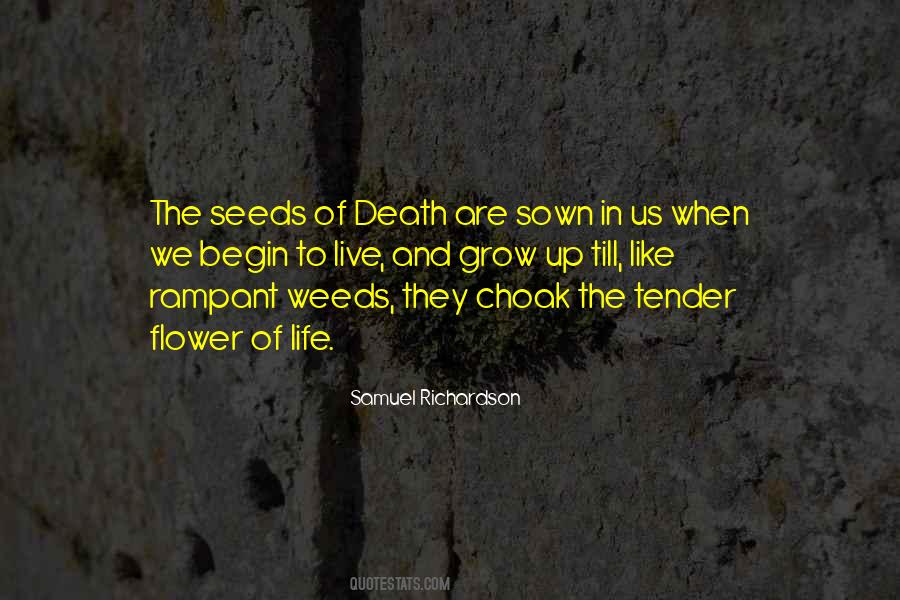 Seeds Sown Quotes #1537806