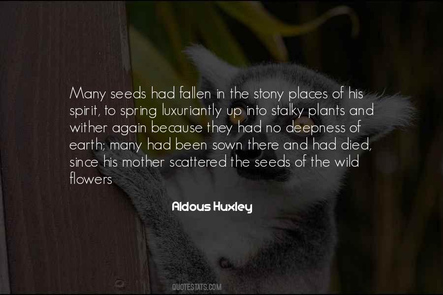 Seeds Sown Quotes #1656377