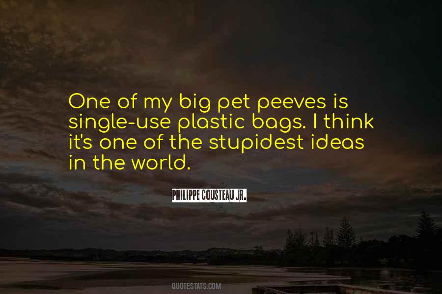 Quotes About Pet Peeves #626405