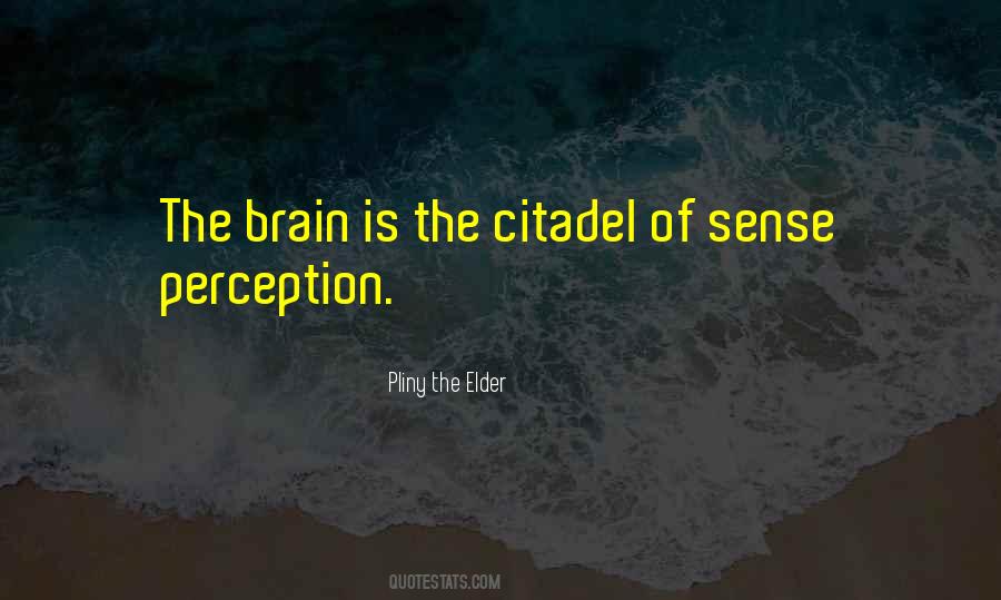 Quotes About Sense Perception #980535
