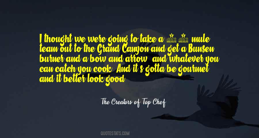 Gourmet Cooking Quotes #924636