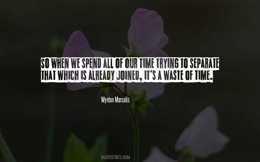 Quotes About Wasting Of Time #57841