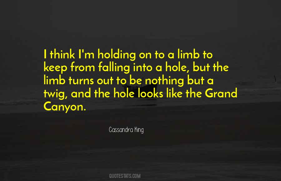 Quotes About Falling In A Hole #476216