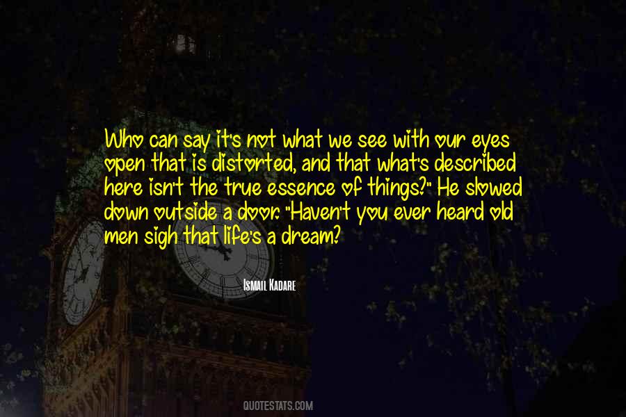 Old Eyes Quotes #102489