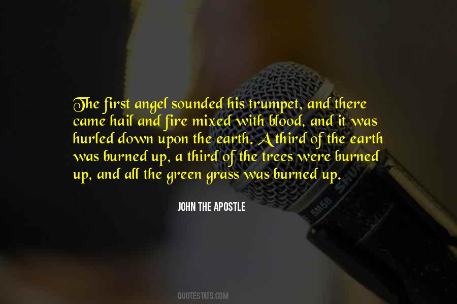 Angel Fire Quotes #1404135
