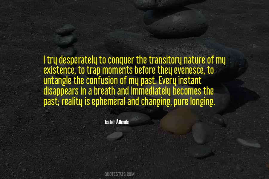 Quotes About Transitory #452642