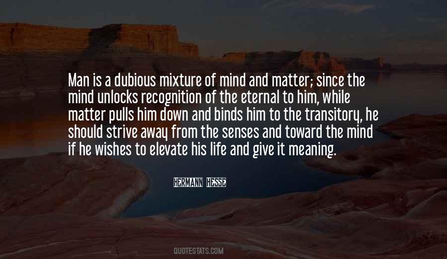 Quotes About Transitory #578999