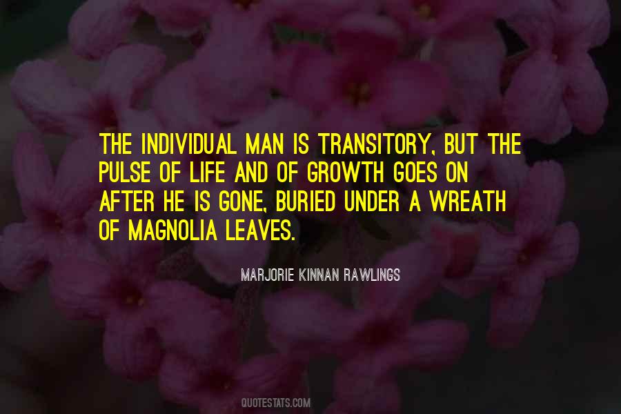 Quotes About Transitory #771598