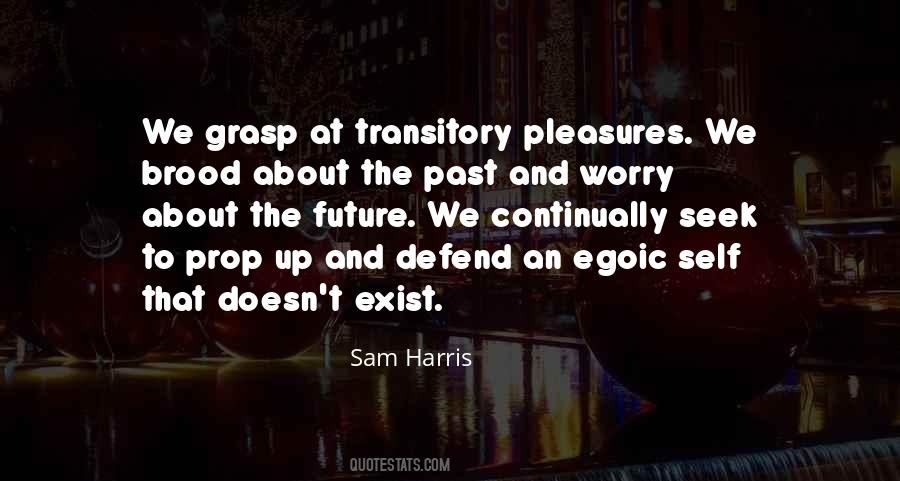 Quotes About Transitory #842549