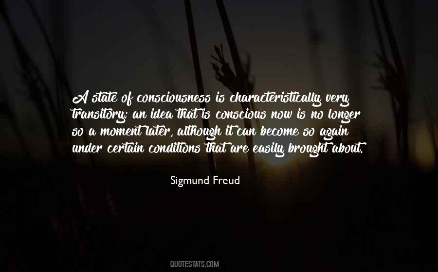 Quotes About Transitory #987773