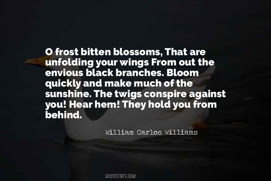 Quotes About Frost #1259015