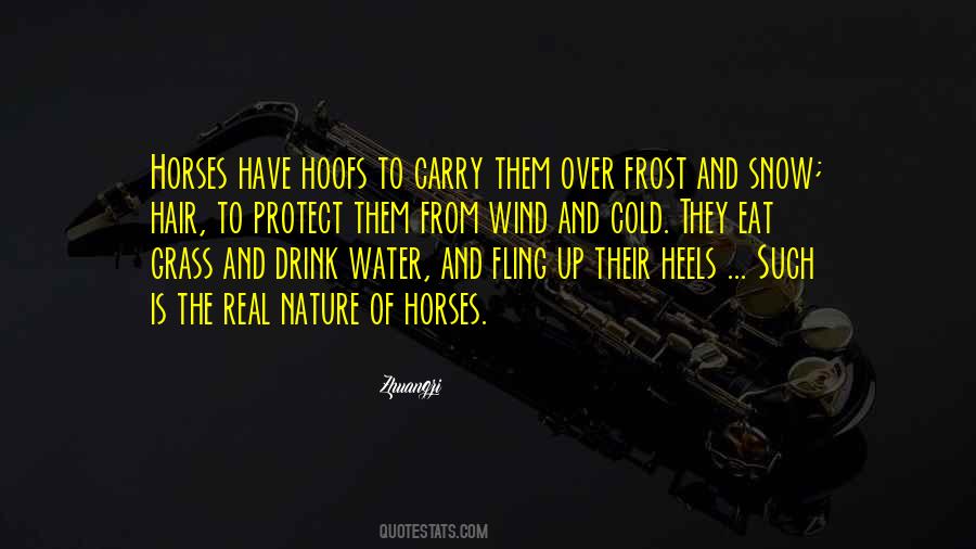 Quotes About Frost #930754