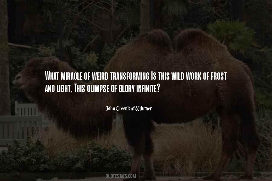 Quotes About Frost #957749