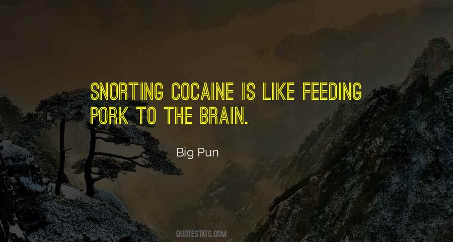 Snorting Cocaine Quotes #107289