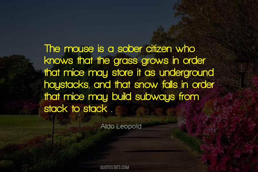Quotes About Haystacks #791449