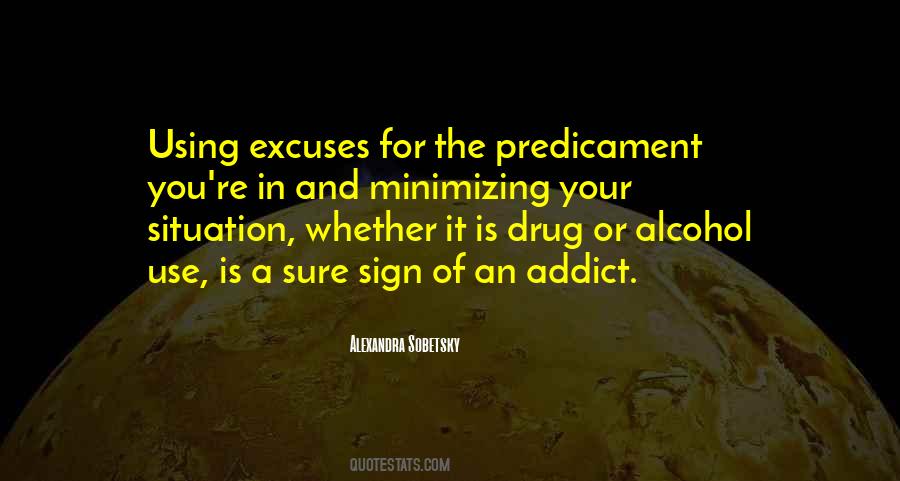 Alcohol Use Quotes #1647159