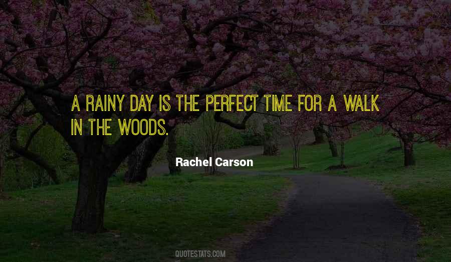 Quotes About Rainy Day #683439