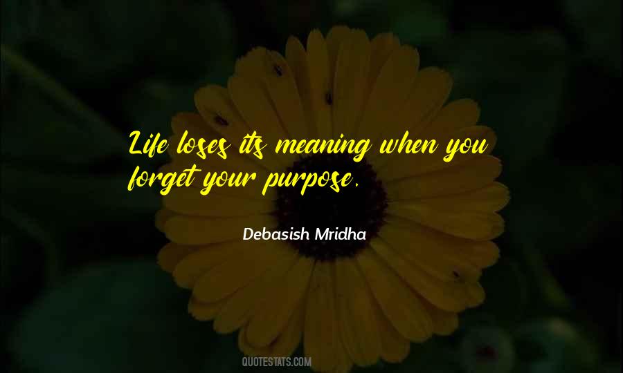 Quotes About Purpose And Meaning #224537