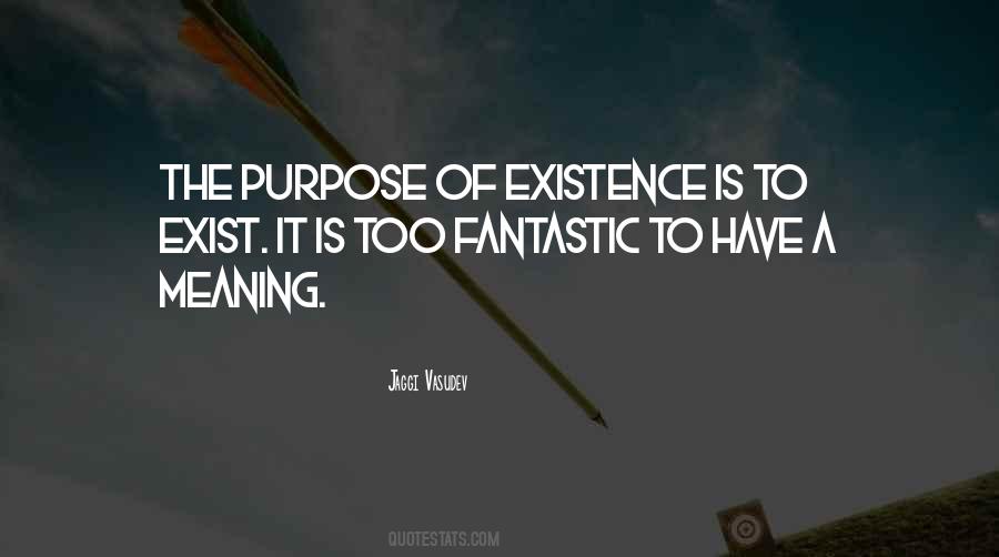 Quotes About Purpose And Meaning #290962