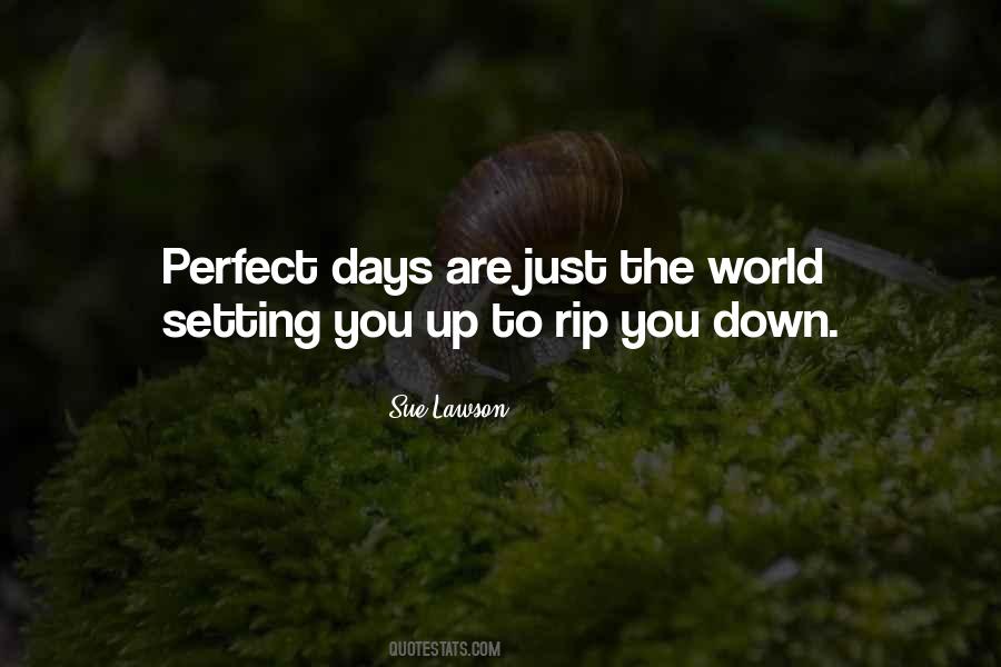 Quotes About Perfect Days #990125