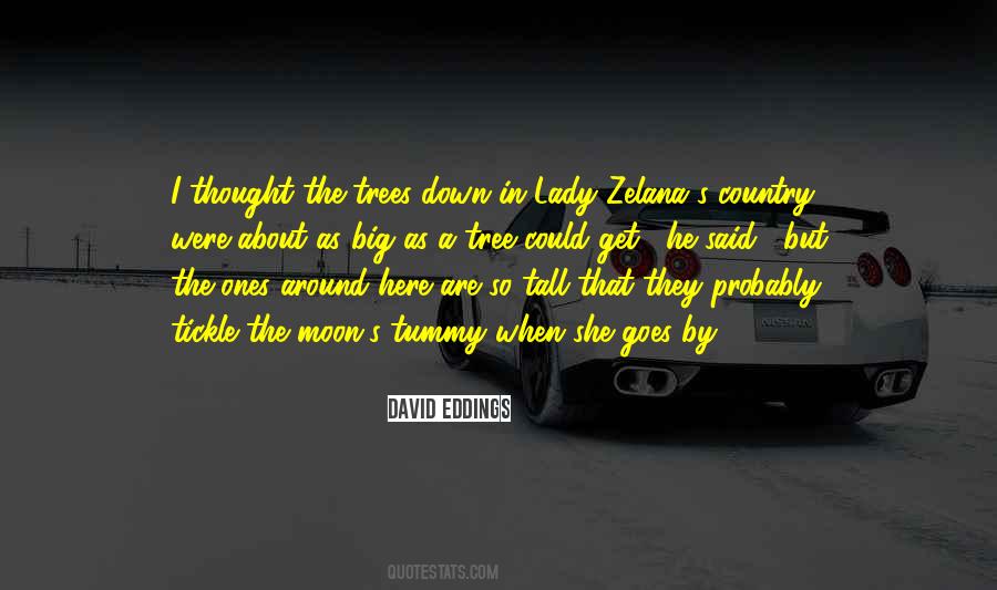 Quotes About Big Tree #1314031