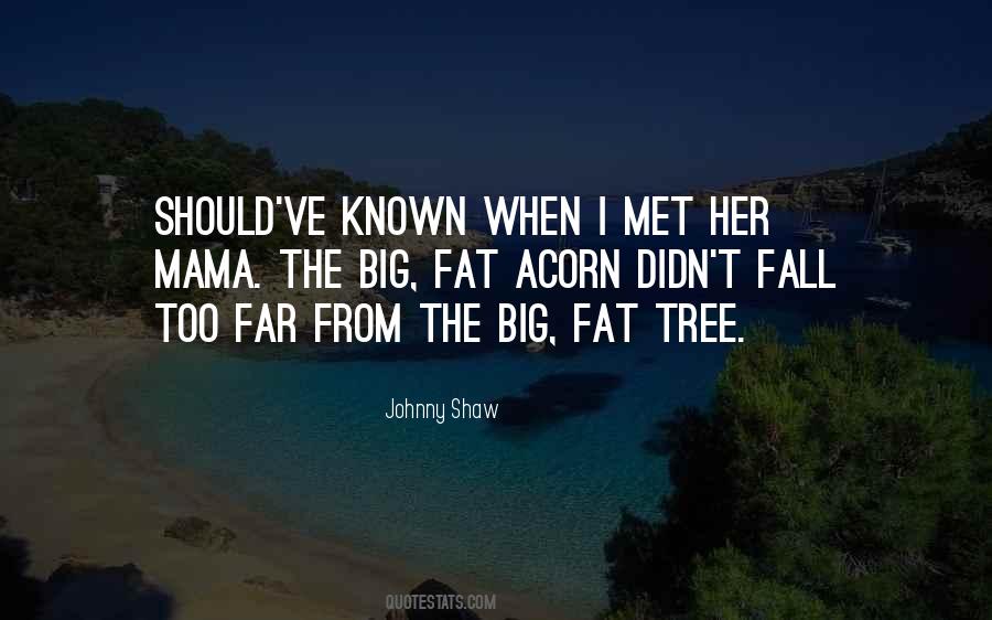Quotes About Big Tree #1314754