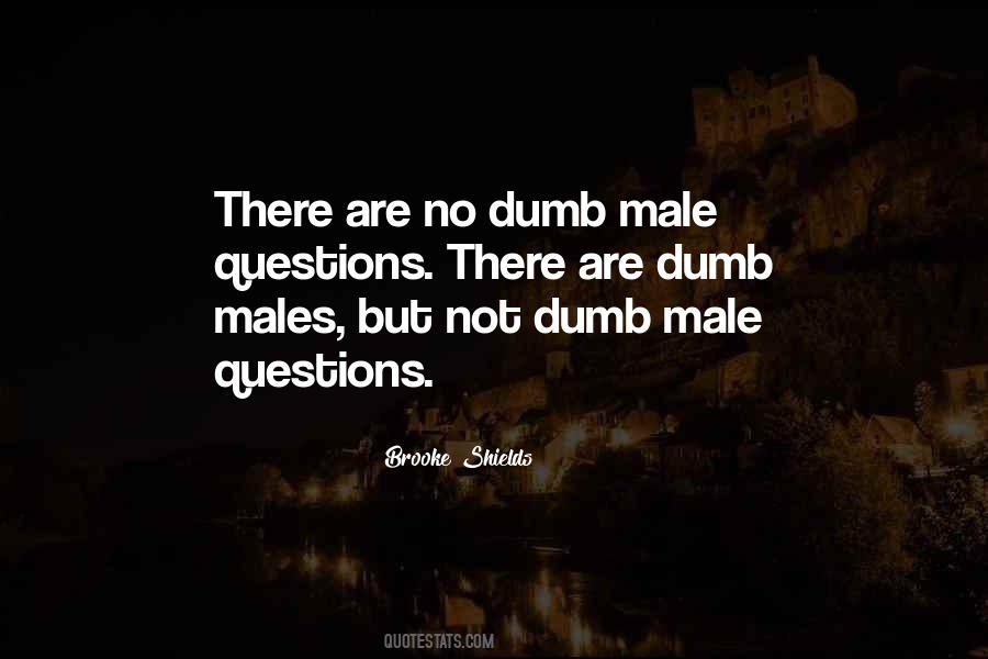 Quotes About Dumb Questions #1699366