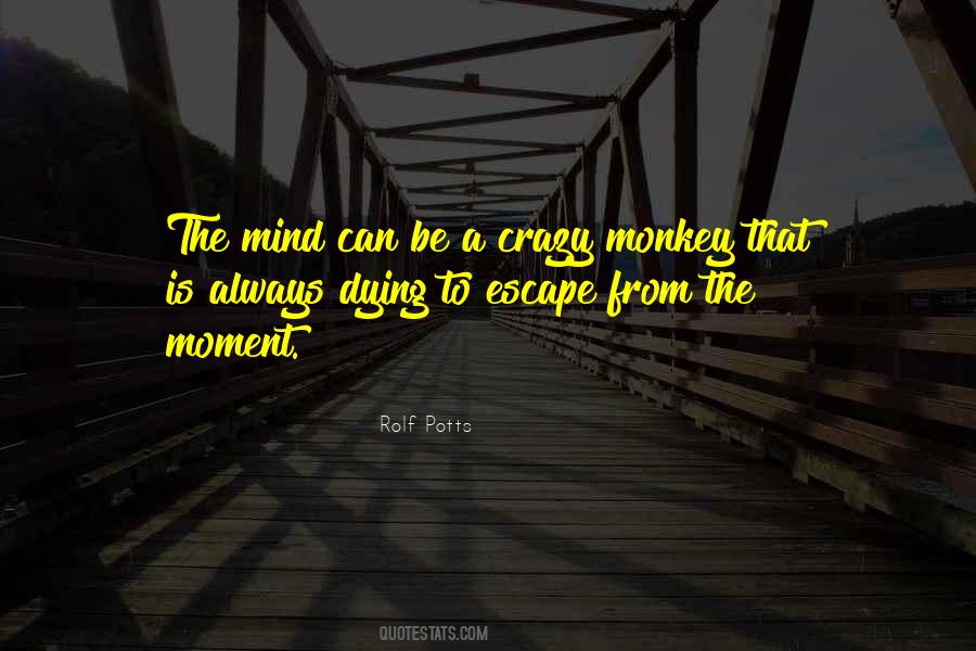 Quotes About Mind Going Crazy #453354