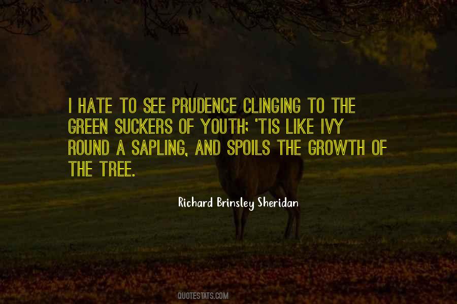 Brinsley Quotes #1037845