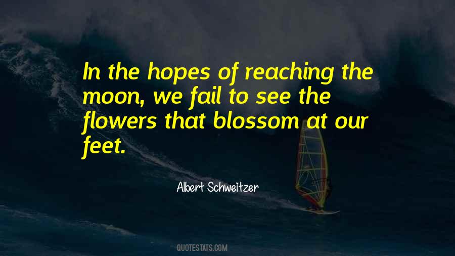 Quotes About Reaching For The Moon #459511