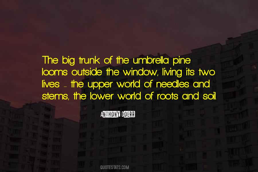 Quotes About Living Our Own Lives #79649