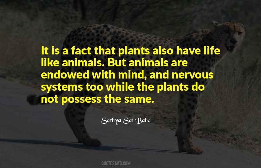 Quotes About Plants And Animals #67152
