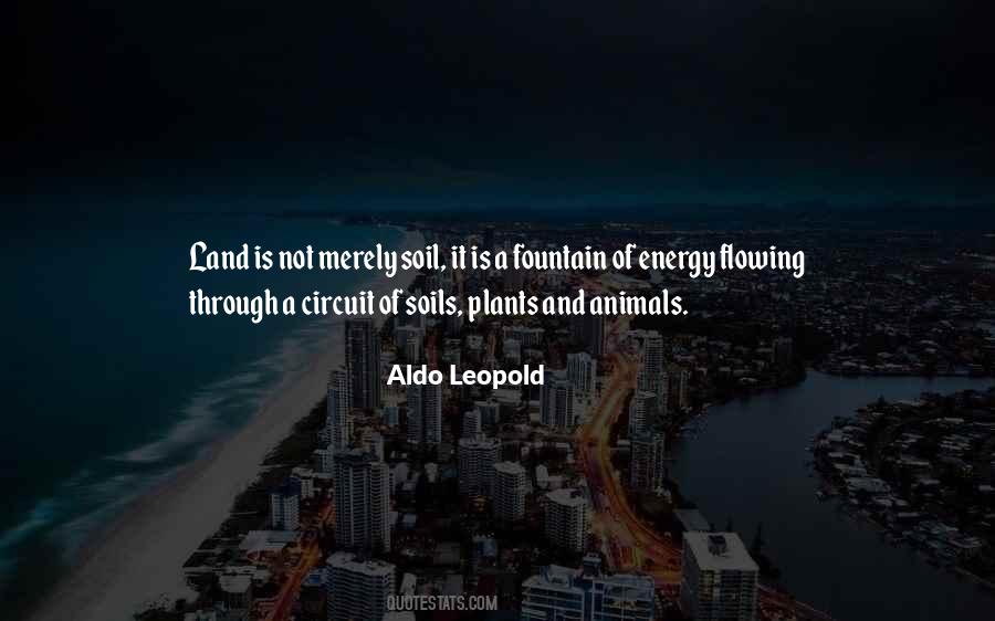 Quotes About Plants And Animals #798159