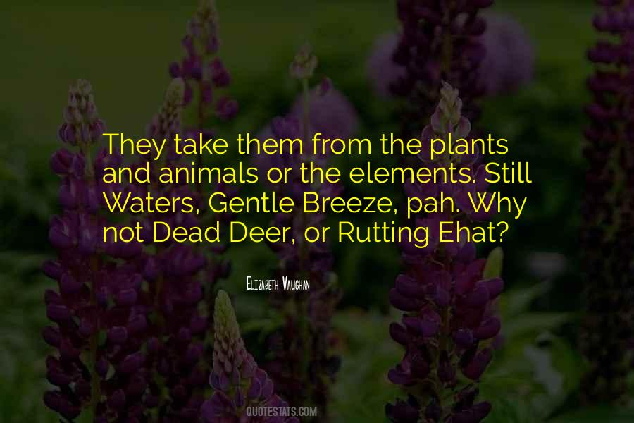 Quotes About Plants And Animals #966442