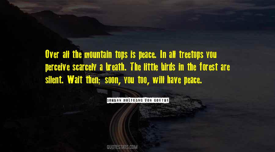 Quotes About Mountain Tops #901450