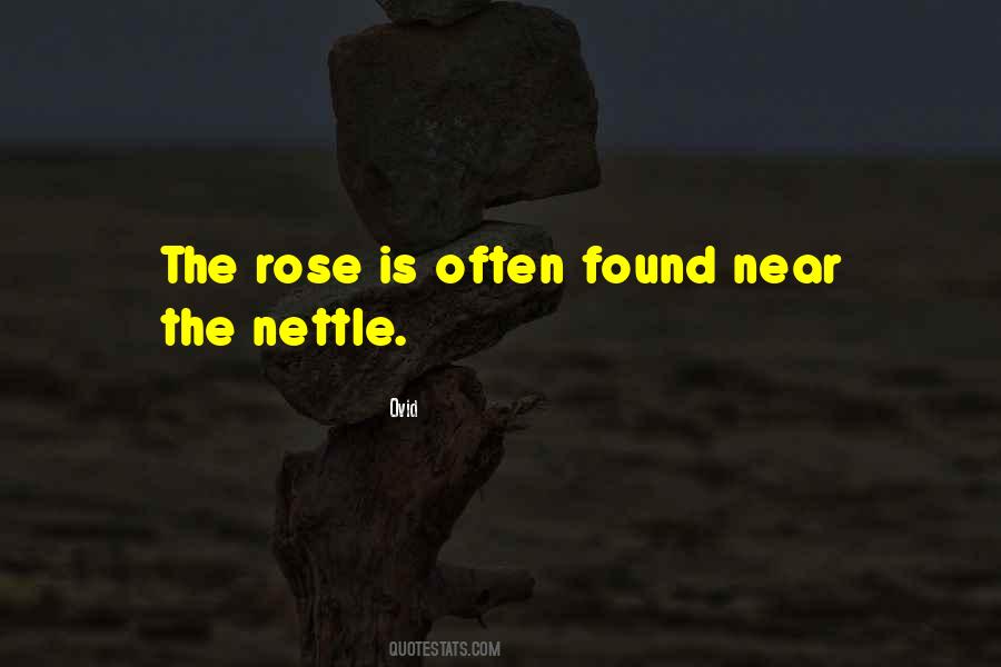 Quotes About Nettles #1374723