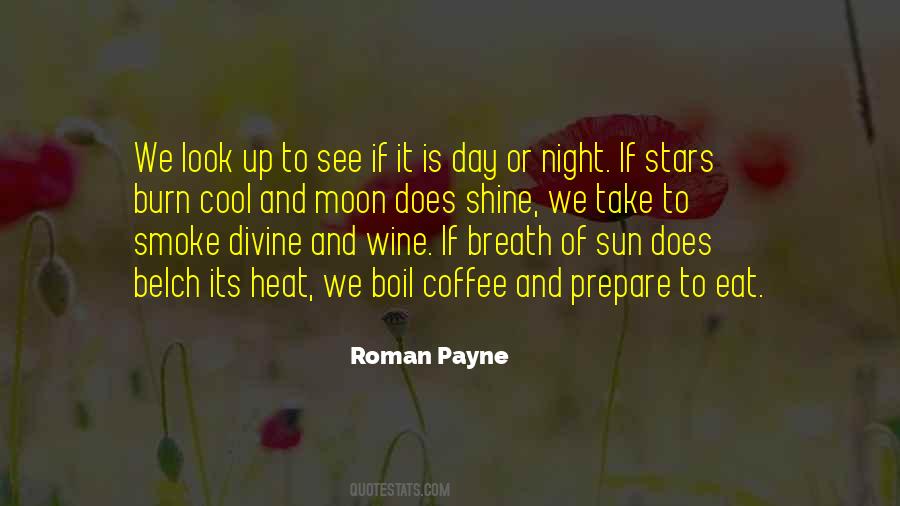 Quotes About Sun And Stars #105425